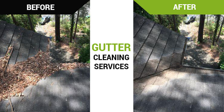 Gutter Cleaning Sydney