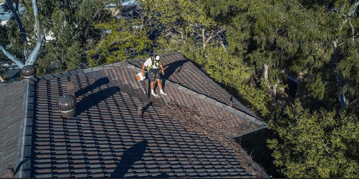 Gutter Cleaning Sydney