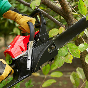 Tree trimming sydney