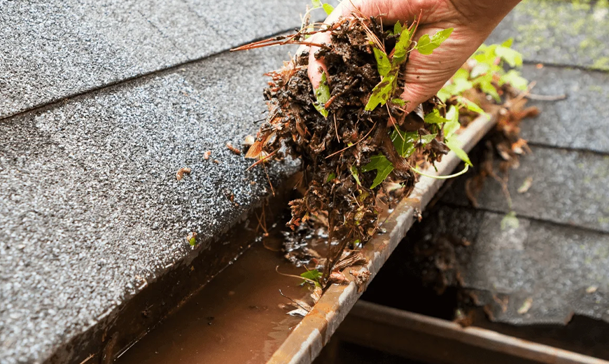 Trusting First Choice Gutter Services in Sydney Trusting First Choice Gutter Services in Sydney