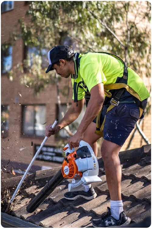 Gutter Cleaning Expert Sydney, NSW