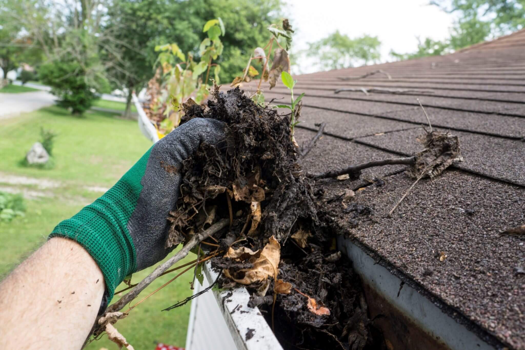 Mobile roof cleaning Eastern Suburbs Mobile roof cleaning Eastern Suburbs