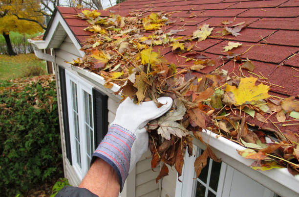 Guaranteed roof cleaning Eastern Suburbs Guaranteed roof cleaning Eastern Suburbs