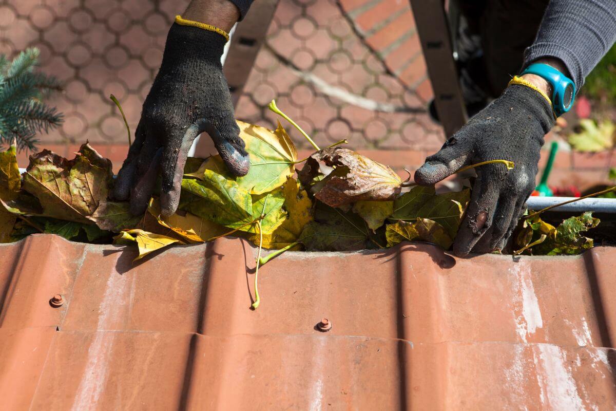 Free roof cleaning estimates Eastern Suburbs Free roof cleaning estimates Eastern Suburbs