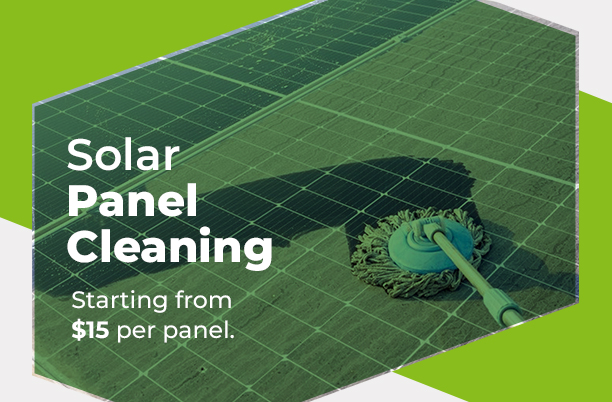 professional solar panel cleaning professional solar panel cleaning