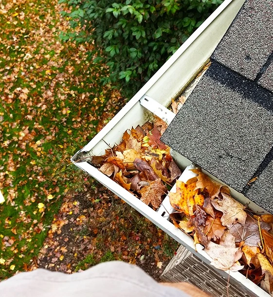 Complete Gutter Cleaning & Roof Maintenance Solutions in Sydney Complete Gutter Cleaning & Roof Maintenance Solutions in Sydney