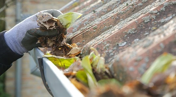 Gutter Cleaning Services across Sydney Gutter Cleaning Services across Sydney