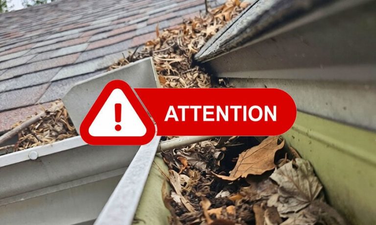 Signs your gutter needs special attention Signs your gutter needs special attention